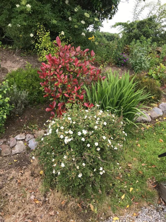 Pat'S Place Apartment Ballaghaderreen Bagian luar foto